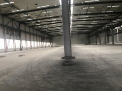 奉贤四团104板块3600平方米标准厂房出租