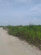 闵行浦江10亩露天场地出租适合停车物流钢管堆放