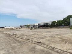 浦东外高桥150亩场地全硬化可做集装箱