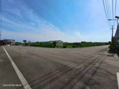浦东临港80亩水泥地可走正面吊适合集装箱运输